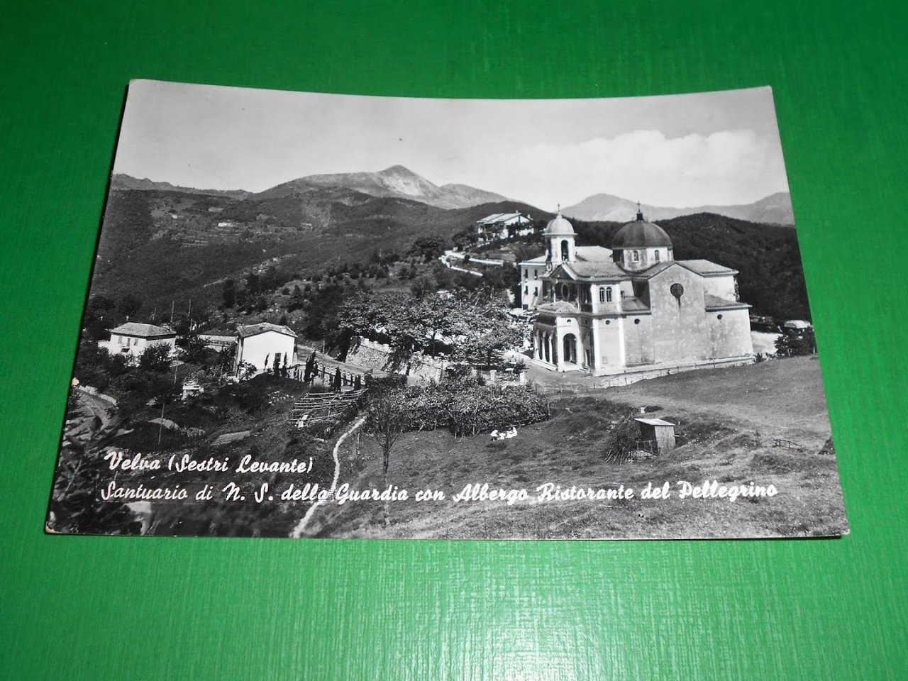 Cartolina Velva ( sestri Levante ) - Santuario di N. …