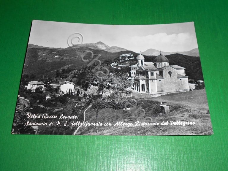 Cartolina Velva ( sestri Levante ) - Santuario di N. …
