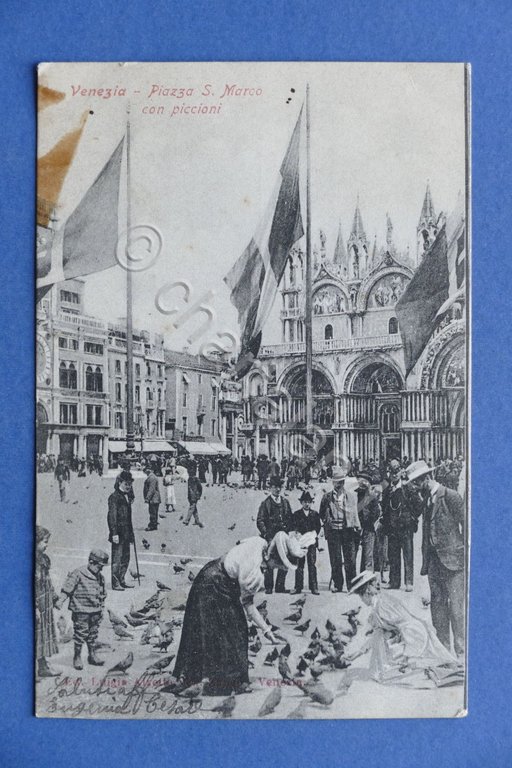 Cartolina Venezia - Piazza S. Marco con piccioni - 1903