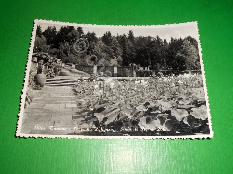 Cartolina Verbania Pallanza - Villa Taranto - Scalinata Fior di …