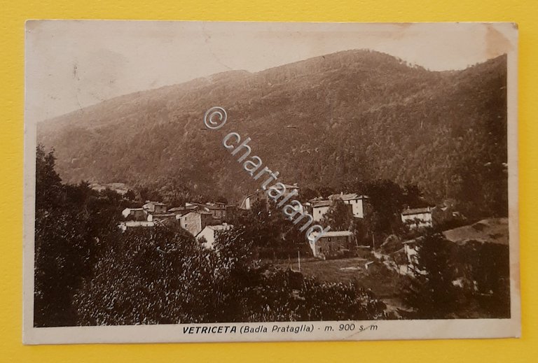 Cartolina Vetriceta ( Badia Prataglia ) - 1925
