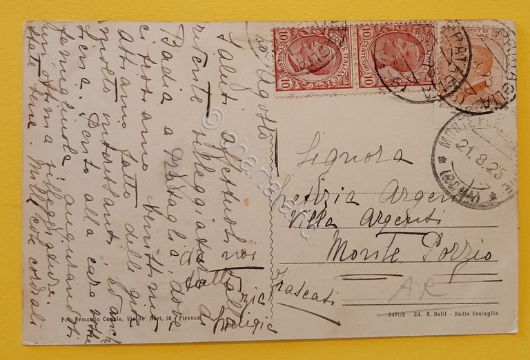 Cartolina Vetriceta ( Badia Prataglia ) - 1925