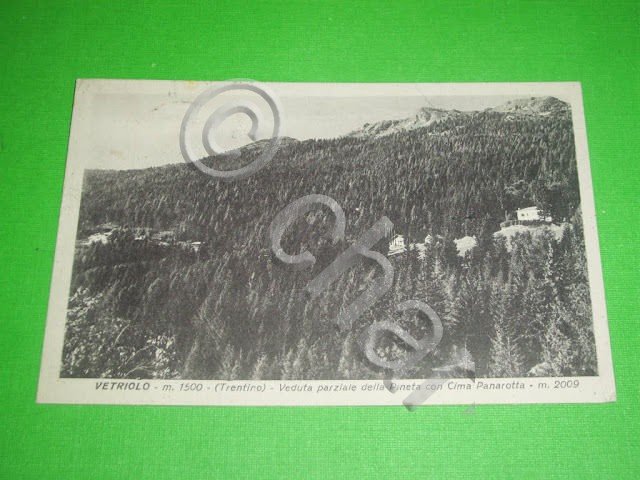 Cartolina Vetriolo - Veduta parziale della Pineta 1942