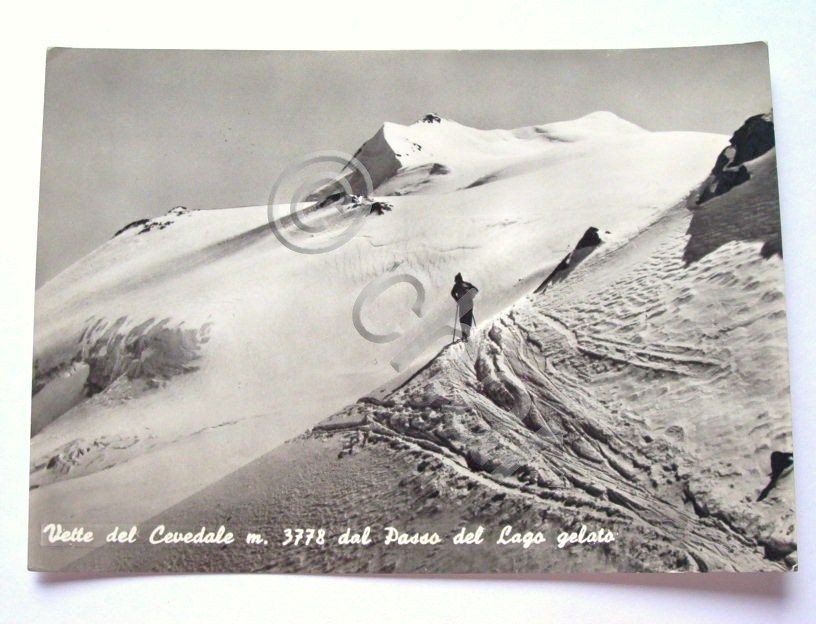 Cartolina Vette del Cevedale - Panorama 1963