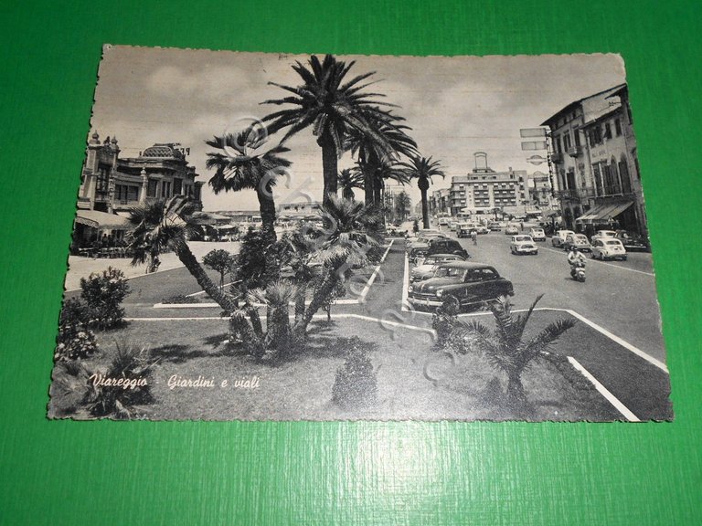 Cartolina Viareggio - Giardini e viali 1961.