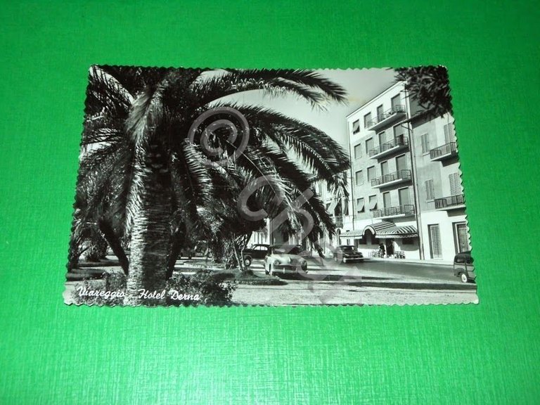Cartolina Viareggio - Hotel Derna 1955