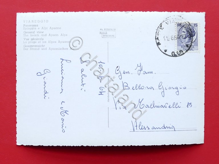 Cartolina Viareggio - Panorama - Spiaggia e Alpi Apuane - …