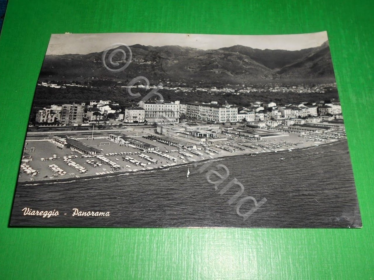 Cartolina Viareggio - Panorama 1957.