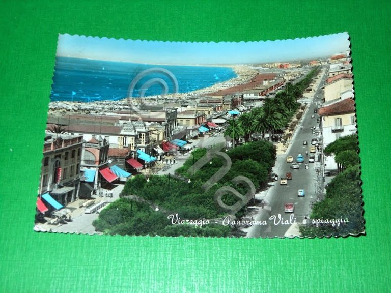 Cartolina Viareggio - Panorama Viali e spiaggia 1960