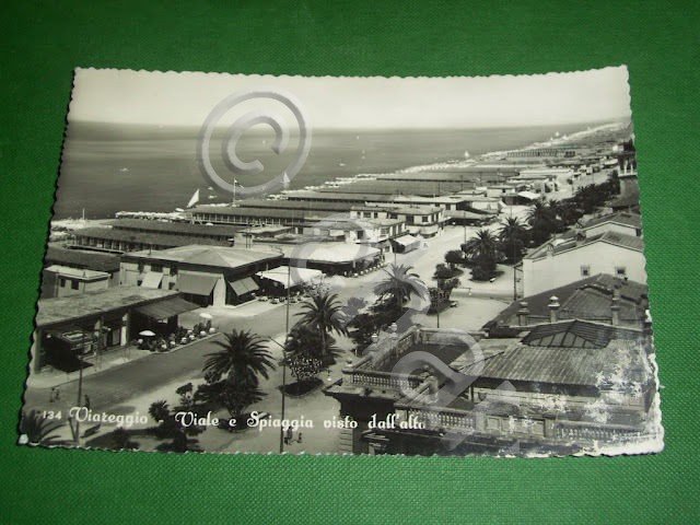 Cartolina Viareggio - Viale e Spiaggia visto dall' alto 1955 … | Immagine Gallery 2