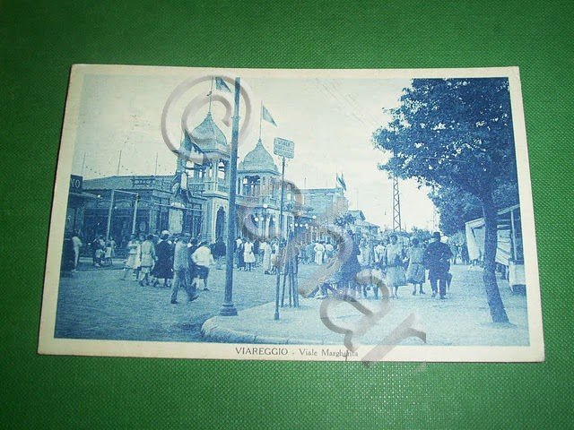 Cartolina Viareggio - Viale Margherita 1931