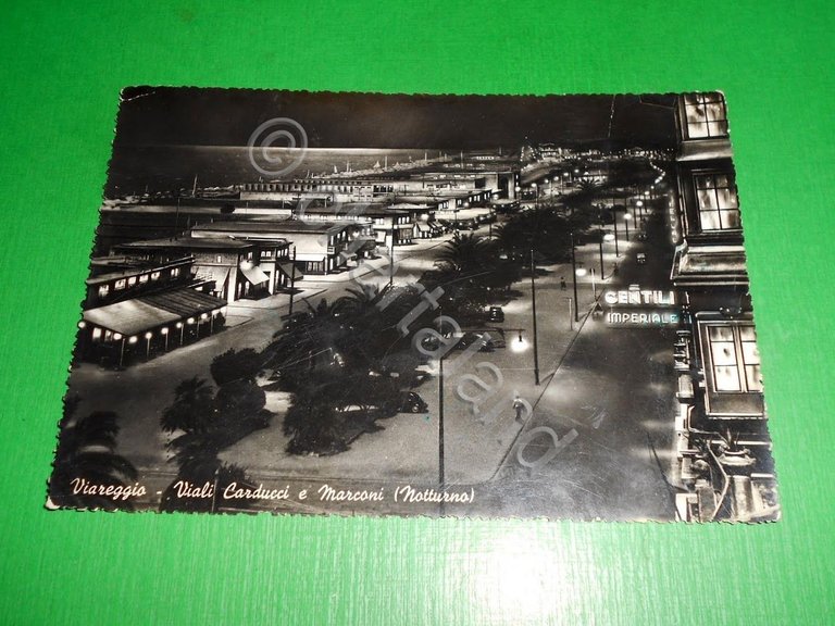 Cartolina Viareggio - Viali Carducci e Marconi ( notturno ) …