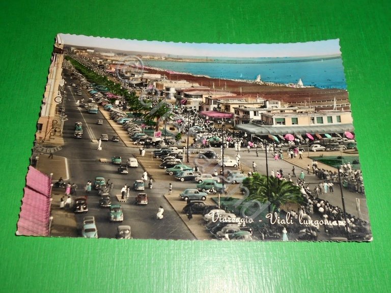 Cartolina Viareggio - Viali Lungomare - 1957