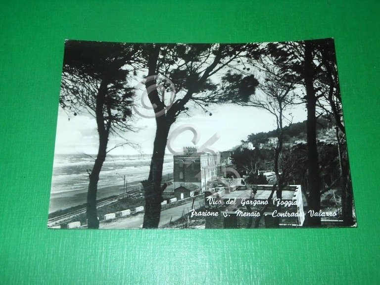 Cartolina Vico del Gargano ( Foggia ) - Frazione S. …