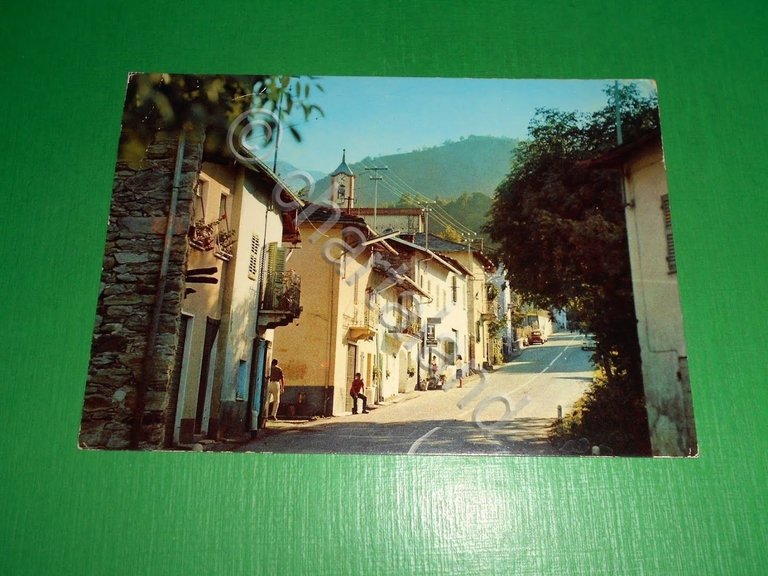 Cartolina Vigna Pesio ( Valle Pesio ) - Panorama 1974.