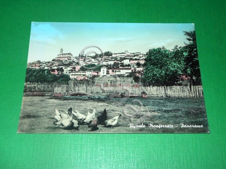 Cartolina Vignale Monferrato ( Alessandria ) - Panorama 1955 ca