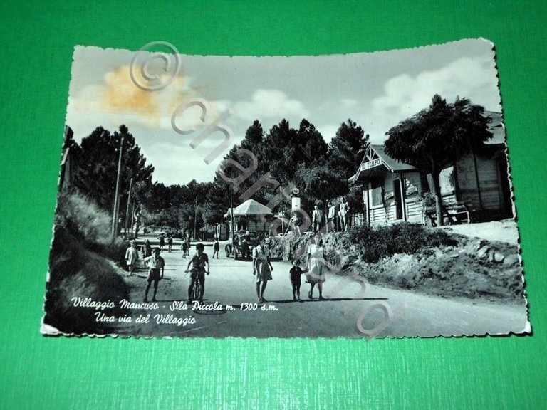 Cartolina Villaggio Mancuso ( Sila Piccola ) - Una via …