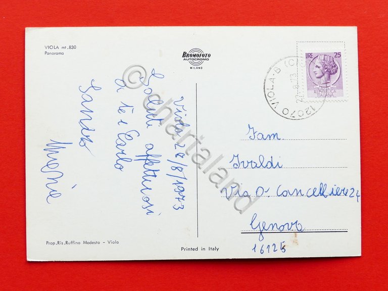 Cartolina Viola - Panorama - 1973