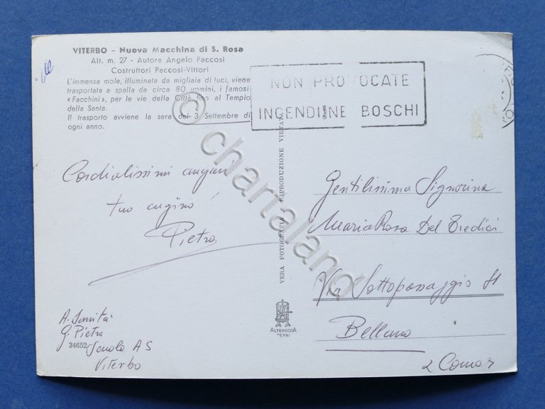 Cartolina Viterbo - Nuova Macchina di S. Rosa - 1960 …