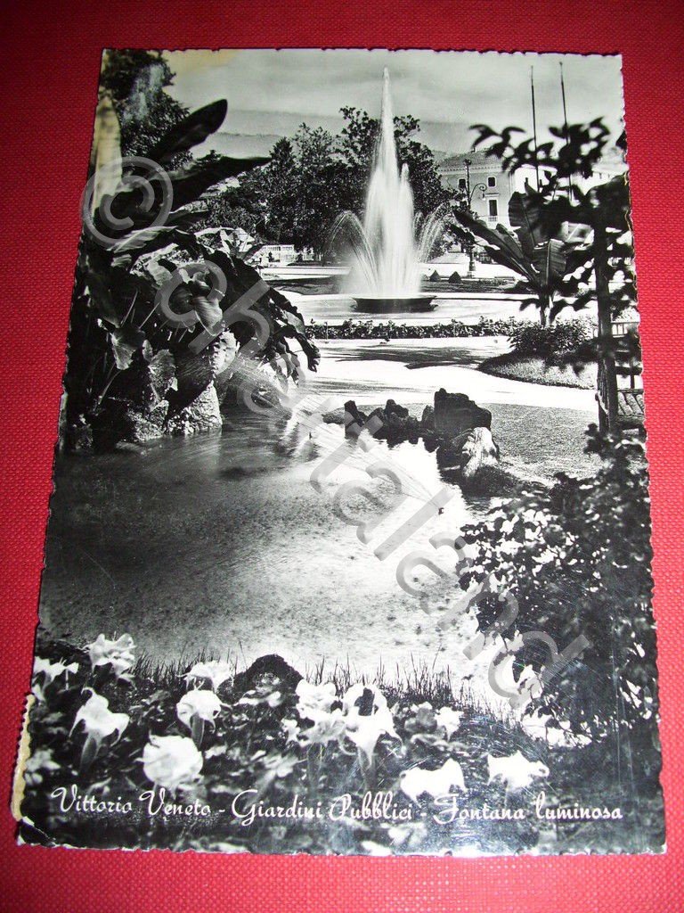 Cartolina Vittorio Veneto - Fontana Giardini Pubb. 1955