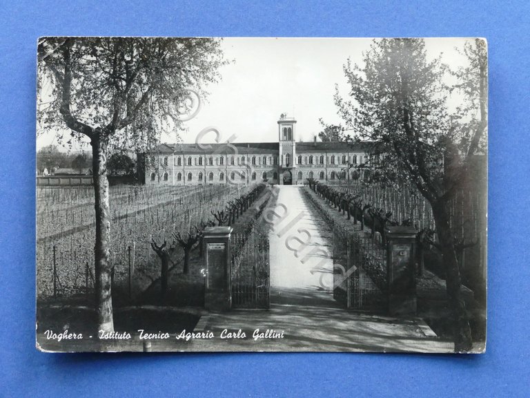 Cartolina Voghera - Istituto Tecnico Agrario Carlo Gallini - 1952
