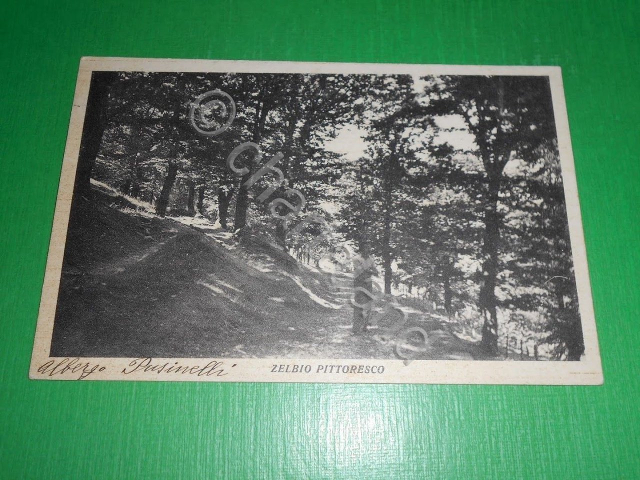 Cartolina Zelbio Pittoresco - Particolare 1949.