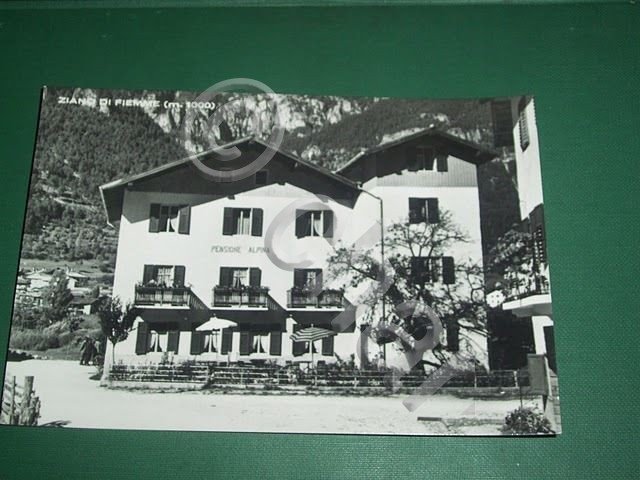 Cartolina Ziano di Fiemme - Pensione Alpina 1950 ca