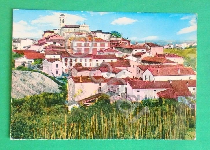 Cartolina Ziano Piacentino - Panorama - Centro di produzione uve …