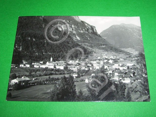 Cartolina Ziano ( Trento ) - Panorama generale 1953