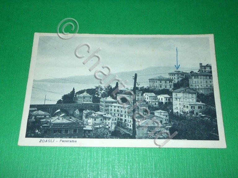 Cartolina Zoagli - Panorama 1930 ca