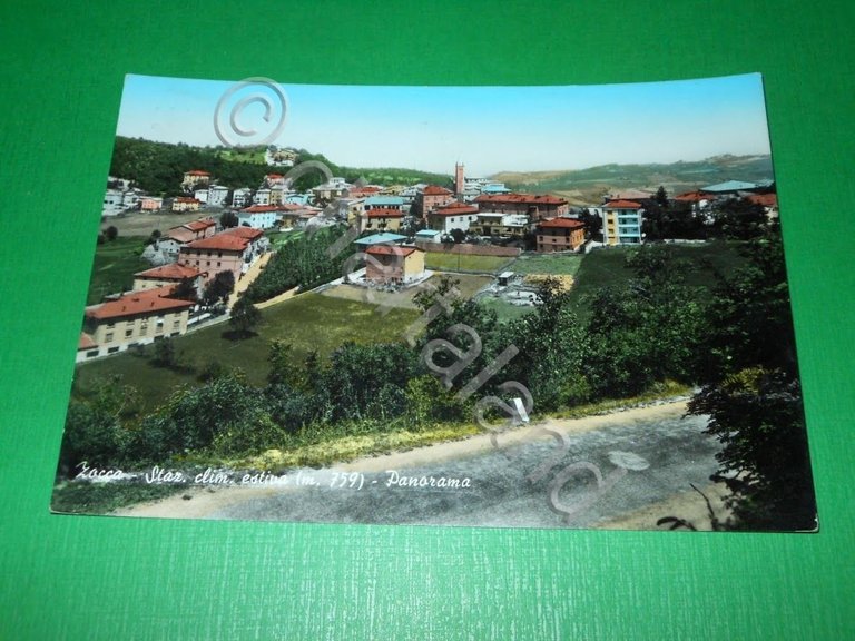 Cartolina Zocca ( Modena ) - Panorama 1964