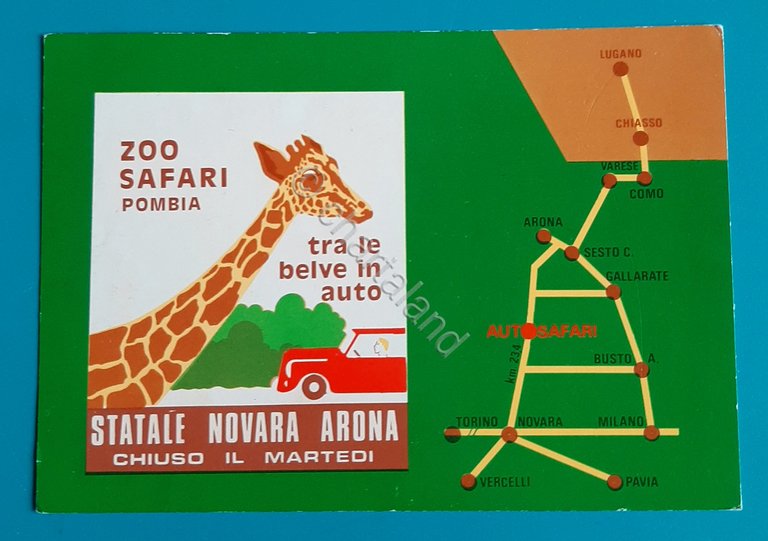 Cartolina Zoo Safari - Pombia - Novara - 1970