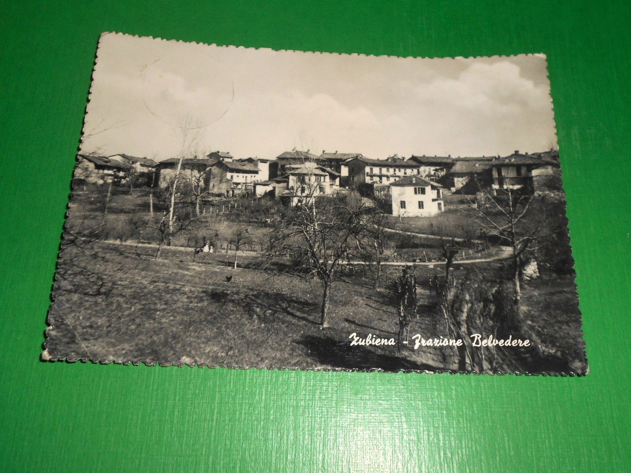 Cartolina Zubiena - Frazione Belvedere 1960 ca.