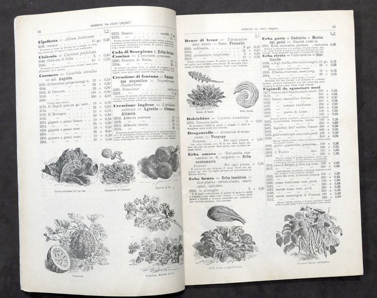 Catalogo illustrato Camperio Sementi selezionate - Milano - N. 65 …
