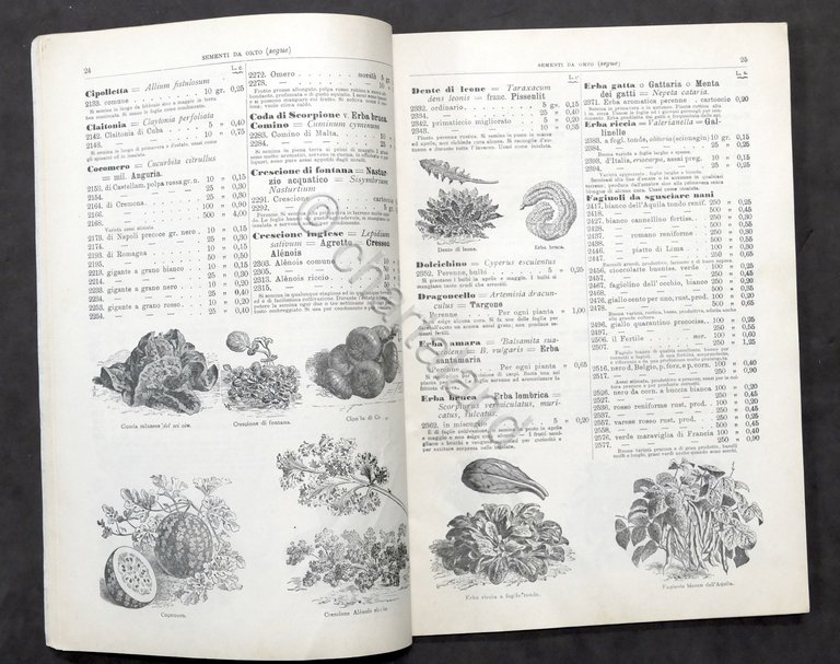 Catalogo illustrato Camperio Sementi selezionate - Milano - N. 65 …
