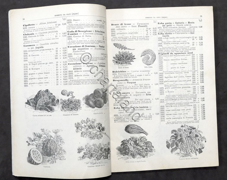 Catalogo illustrato Camperio Sementi selezionate - Milano - N. 65 …