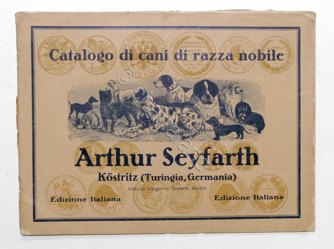 Catalogo illustrato cani di razza nobile - Arthur Seyfarth - … | Immagine principale