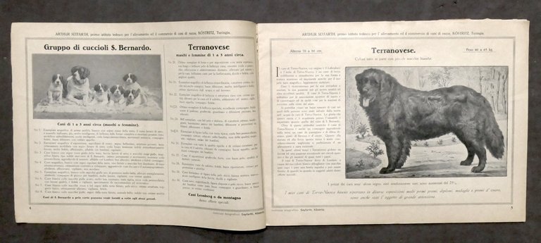 Catalogo illustrato cani di razza nobile - Arthur Seyfarth - … | Immagine Gallery 2