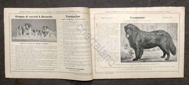 Catalogo illustrato cani di razza nobile - Arthur Seyfarth - … | Immagine Gallery 3
