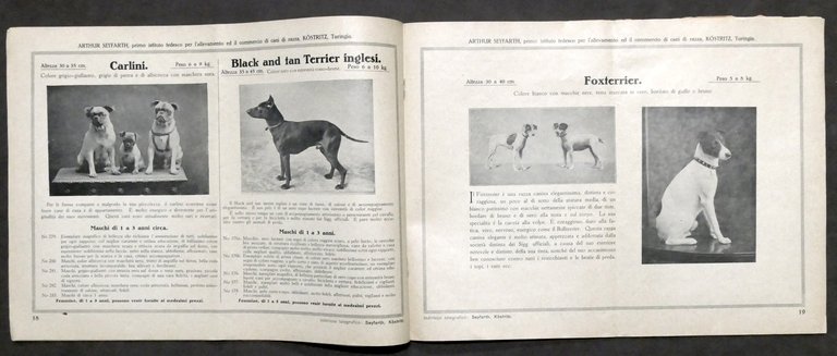 Catalogo illustrato cani di razza nobile - Arthur Seyfarth - … | Immagine Gallery 4