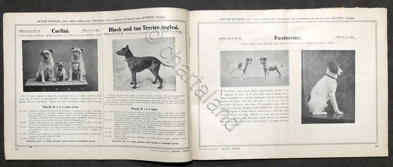 Catalogo illustrato cani di razza nobile - Arthur Seyfarth - … | Immagine Gallery 5