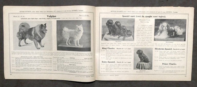 Catalogo illustrato cani di razza nobile - Arthur Seyfarth - … | Immagine Gallery 6