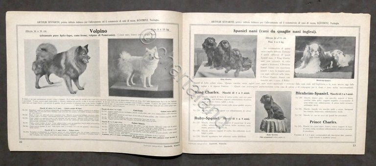 Catalogo illustrato cani di razza nobile - Arthur Seyfarth - … | Immagine Gallery 7