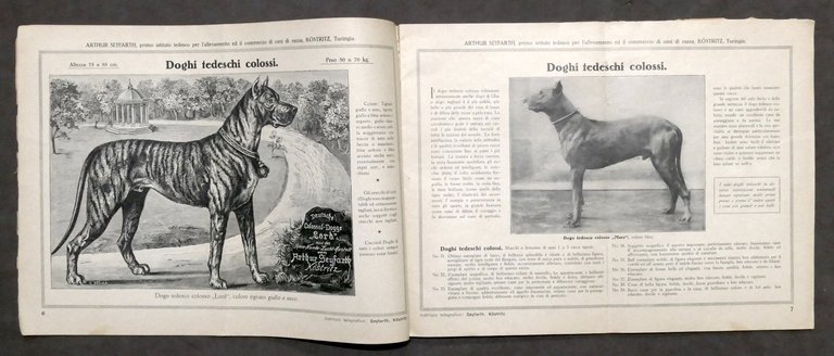Catalogo illustrato cani di razza nobile - Arthur Seyfarth - … | Immagine Gallery 8