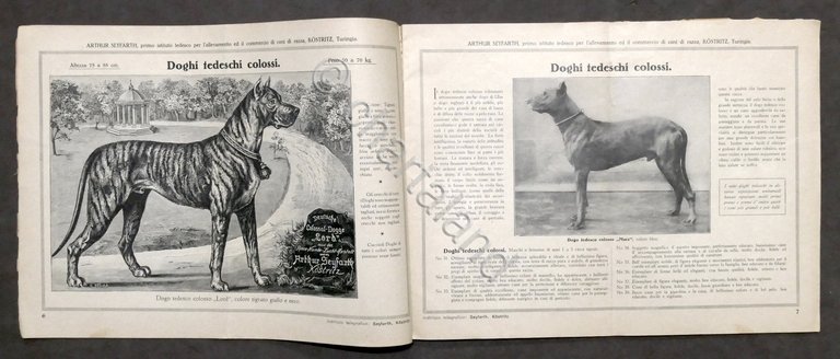 Catalogo illustrato cani di razza nobile - Arthur Seyfarth - … | Immagine Gallery 9