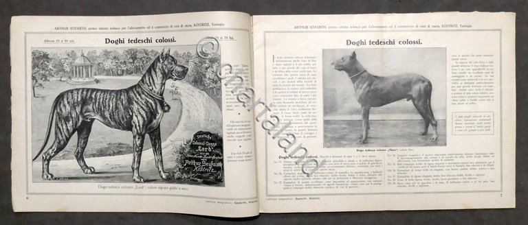 Catalogo illustrato cani di razza nobile - Arthur Seyfarth - … | Immagine Gallery 10