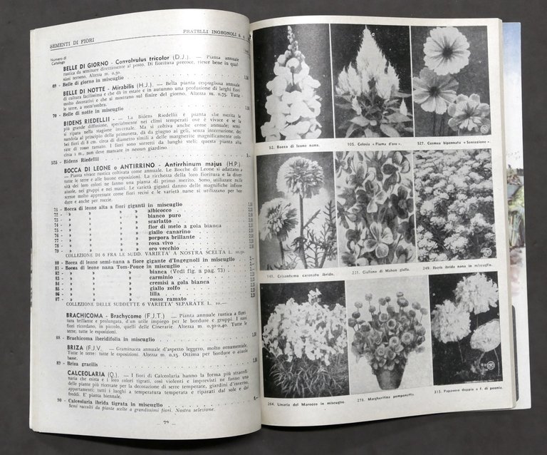Catalogo illustrato F.lli Ingegnoli - Milano sementi e piante - …