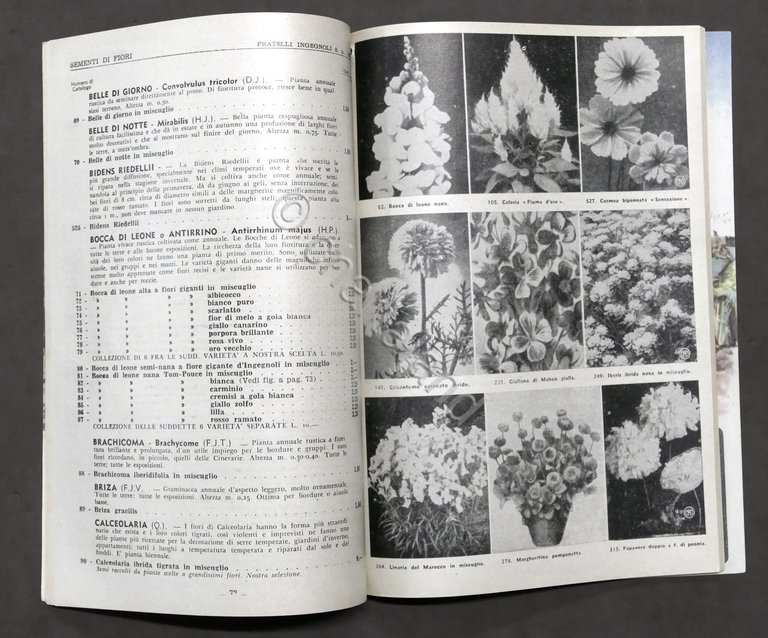 Catalogo illustrato F.lli Ingegnoli - Milano sementi e piante - …