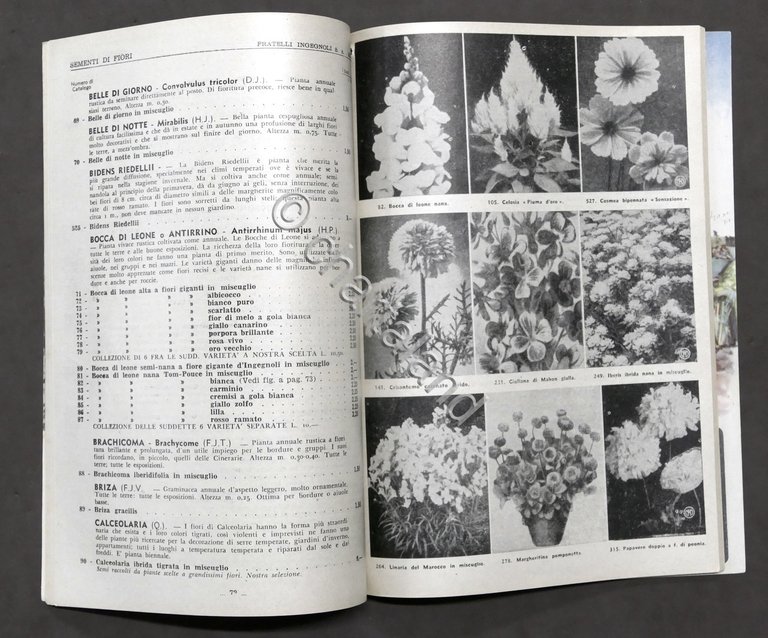 Catalogo illustrato F.lli Ingegnoli - Milano sementi e piante - …