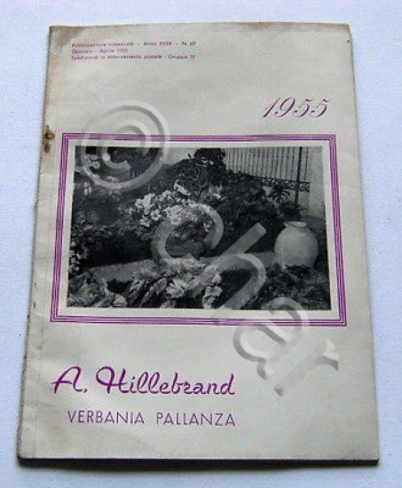 Catalogo illustrato Orticoltura - A. Hillebrand - Sementi - 1955